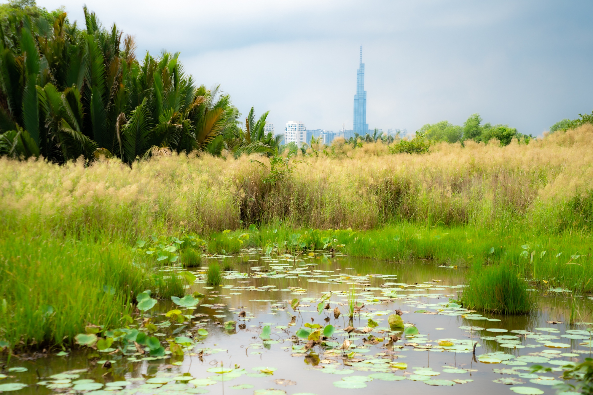 Cận cảnh b&aacute;n đảo ở TP.HCM c&oacute; duy nhất một tuyến đường kết nối - Ảnh 11.