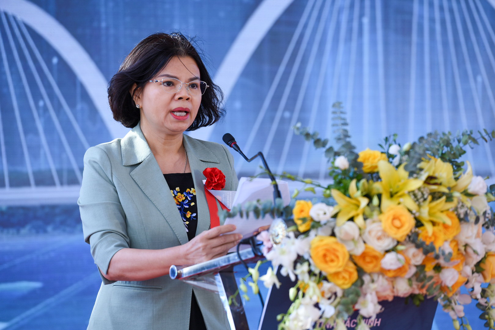 Ch&iacute;nh thức kh&aacute;nh th&agrave;nh, đưa v&agrave;o sử dụng cầu v&ograve;m th&eacute;p cao nhất Việt Nam - Ảnh 2.