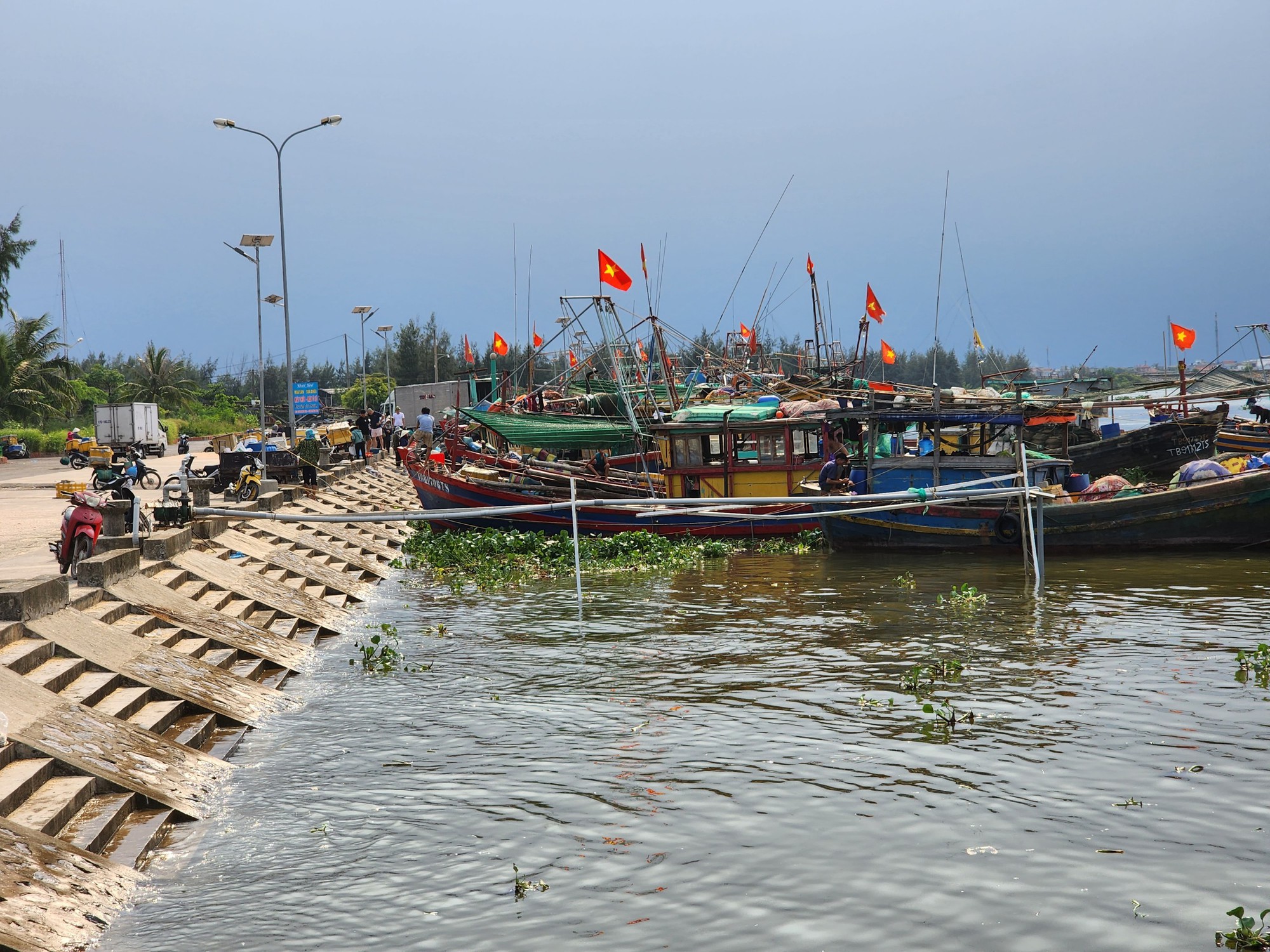 Th&aacute;i B&igrave;nh: Sẵn s&agrave;ng đ&oacute;n đo&agrave;n thanh tra Ủy ban ch&acirc;u &Acirc;u (EC) lần 4 - Ảnh 1.