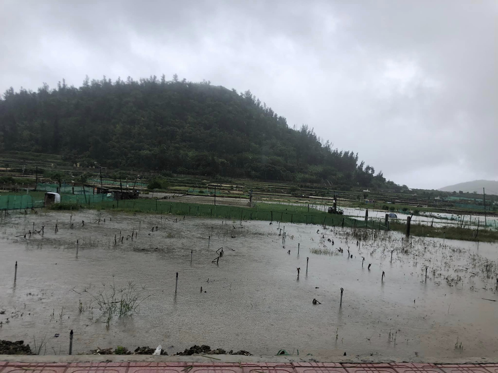 Quảng Ng&atilde;i mưa lớn k&eacute;o d&agrave;i nhiều nơi bị ngập, giao th&ocirc;ng chia cắt - Ảnh 5.