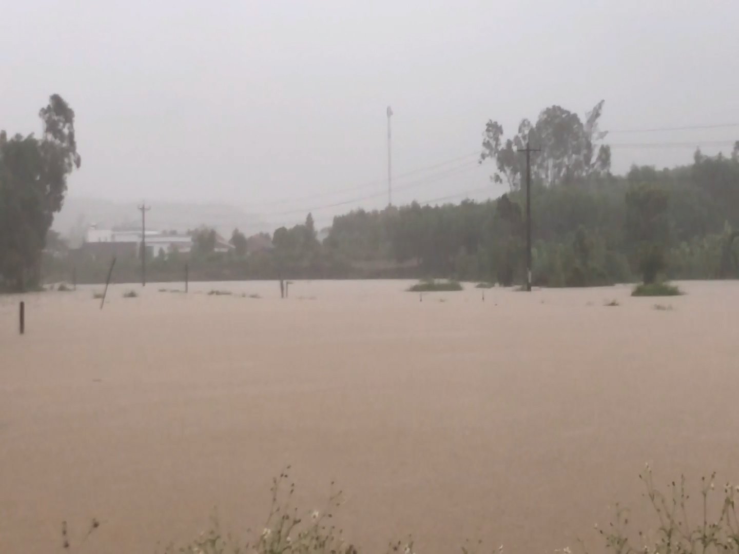 Quảng Ng&atilde;i mưa lớn k&eacute;o d&agrave;i nhiều nơi bị ngập, giao th&ocirc;ng chia cắt - Ảnh 4.