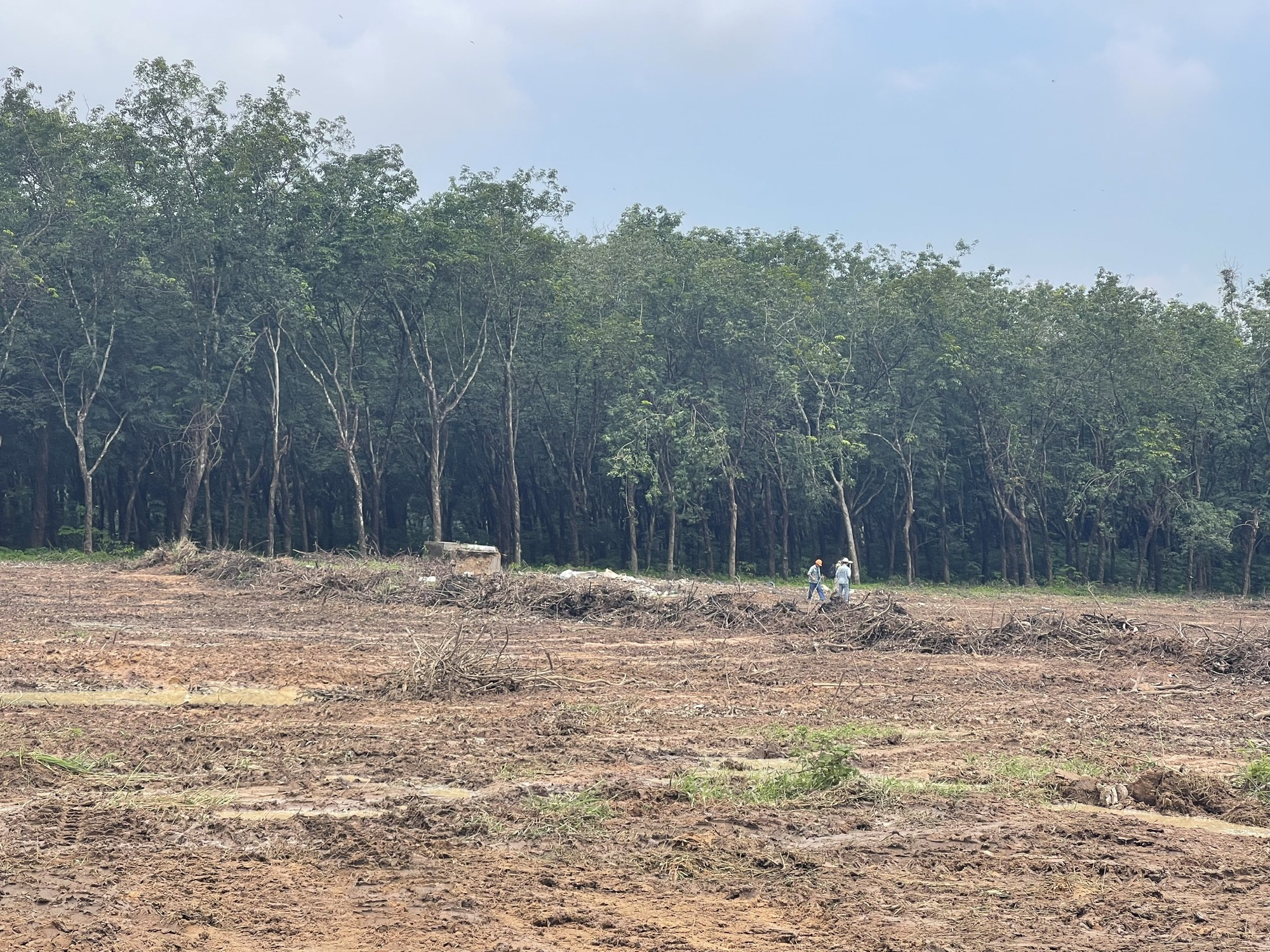 Hai vị tr&iacute; ph&ugrave; hợp đổ chất thải thi c&ocirc;ng dự &aacute;n th&agrave;nh phần 2 cao tốc Bi&ecirc;n Ho&agrave; - Vũng T&agrave;u - Ảnh 1.