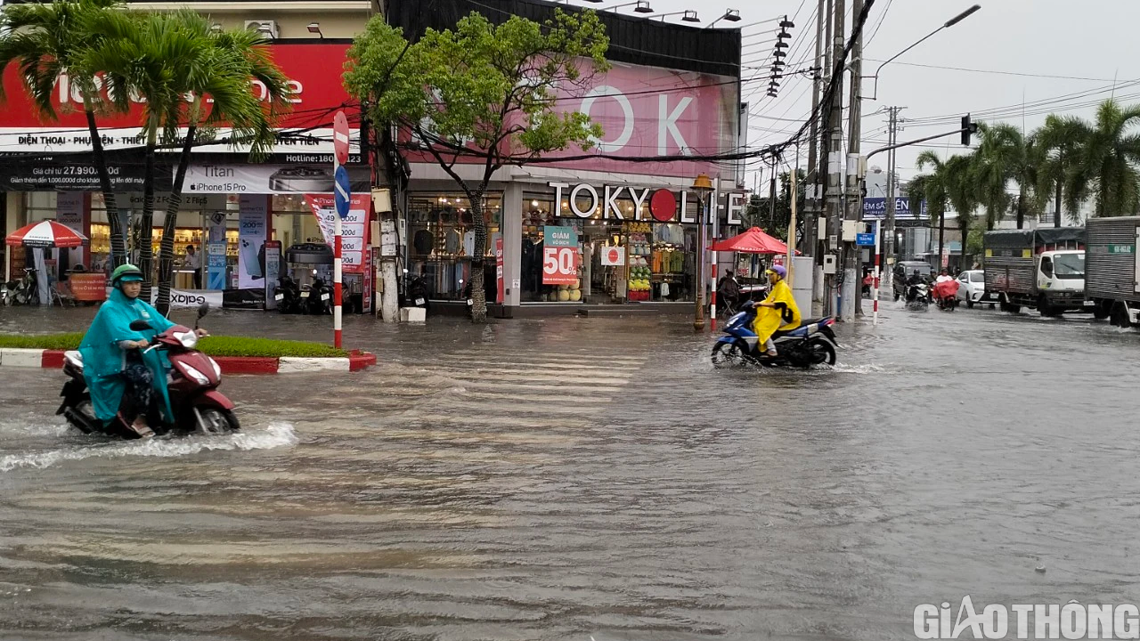 Mưa lớn kết hợp triều cường d&acirc;ng cao, Bạc Li&ecirc;u ứng ph&oacute; ra sao? - Ảnh 1.