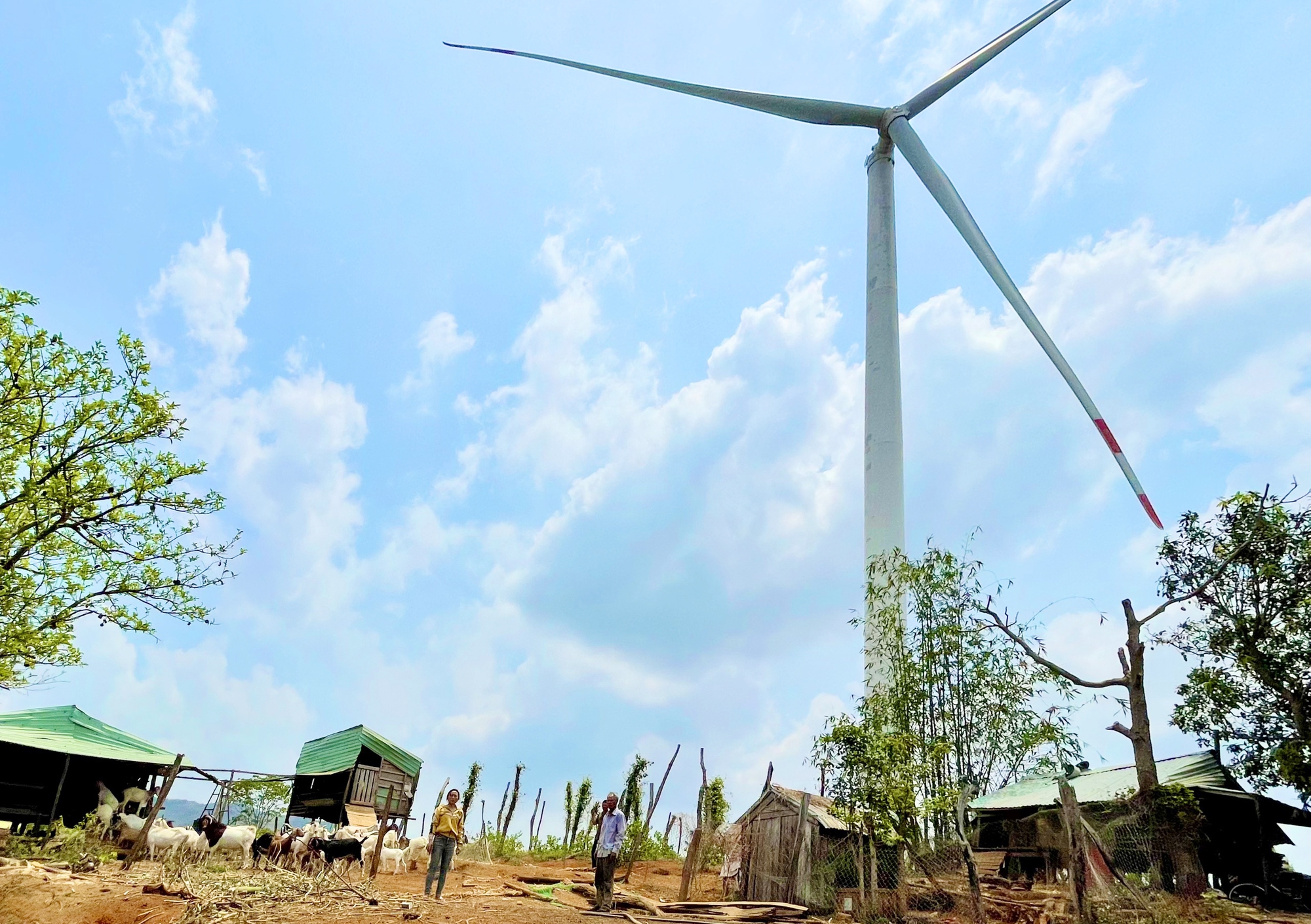 D&acirc;n phản ứng về đền b&ugrave; ở dự &aacute;n điện gi&oacute;, Bộ C&ocirc;ng thương n&oacute;i g&igrave;? - Ảnh 1.