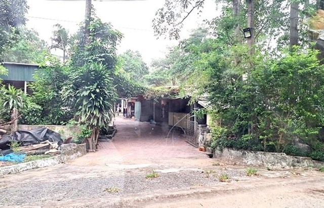 M&acirc;u thuẫn tr&ecirc;n b&agrave;n nhậu, người đ&agrave;n &ocirc;ng d&ugrave;ng s&uacute;ng hơi bắn người phụ nữ bị thương - Ảnh 1.