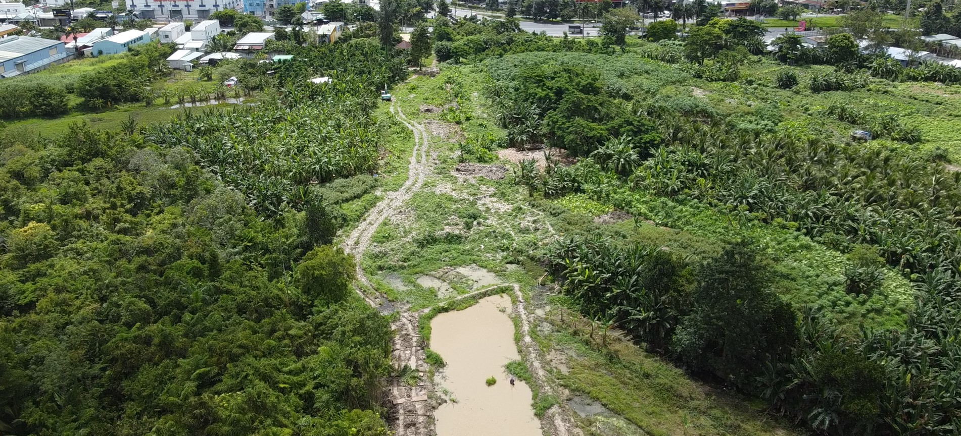 Đề xuất x&acirc;y cầu cạn qua b&atilde;i r&aacute;c chắn cao tốc Cần Thơ &ndash; C&agrave; Mau - Ảnh 3.