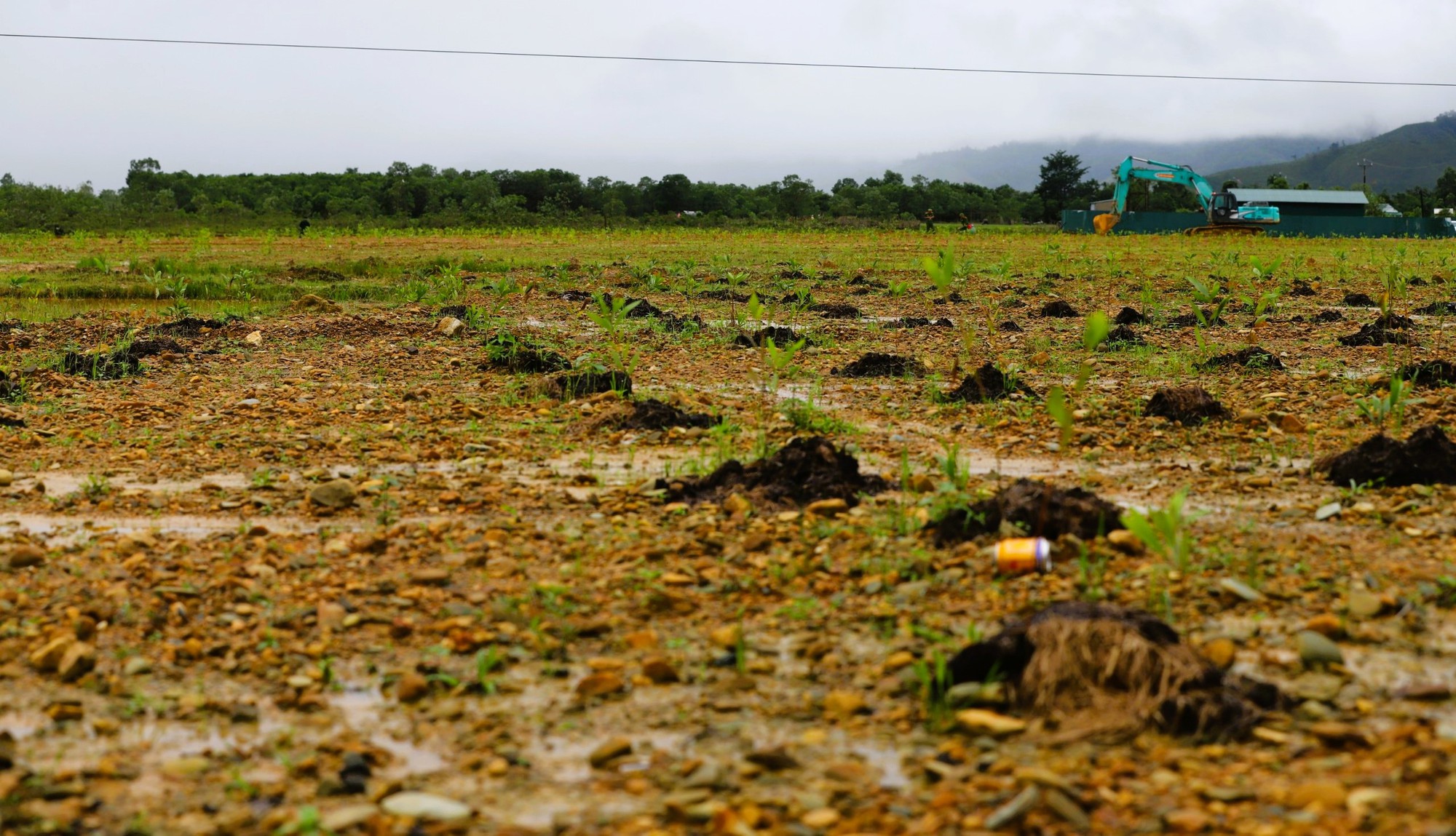 Ho&agrave;n th&agrave;nh xử l&yacute; đất nhiễm dioxin tại s&acirc;n bay A So - Ảnh 4.