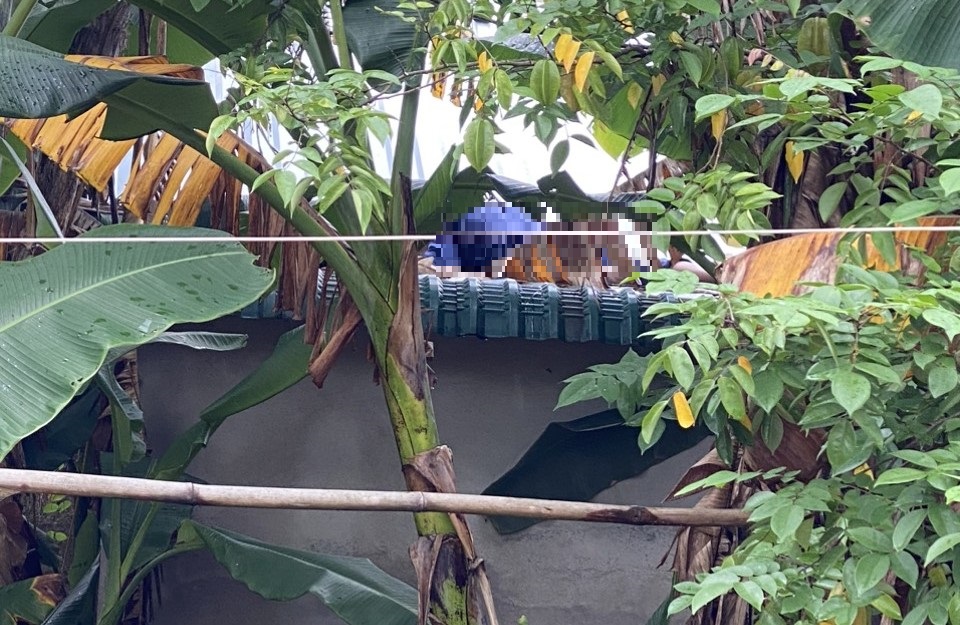 L&ecirc;n m&aacute;i nh&agrave; sửa d&acirc;y mạng internet, nh&acirc;n vi&ecirc;n viễn th&ocirc;ng bị điện giật tử vong - Ảnh 1.