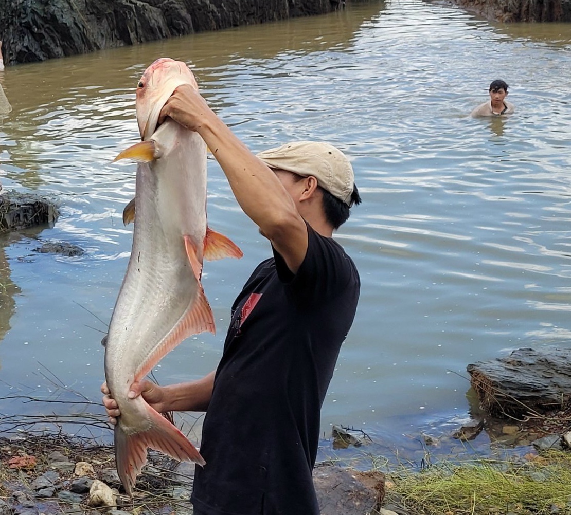 Người d&acirc;n Đồng Nai lại n&ocirc; nức k&eacute;o xuống ch&acirc;n đập Trị An bắt c&aacute; khủng - Ảnh 3.