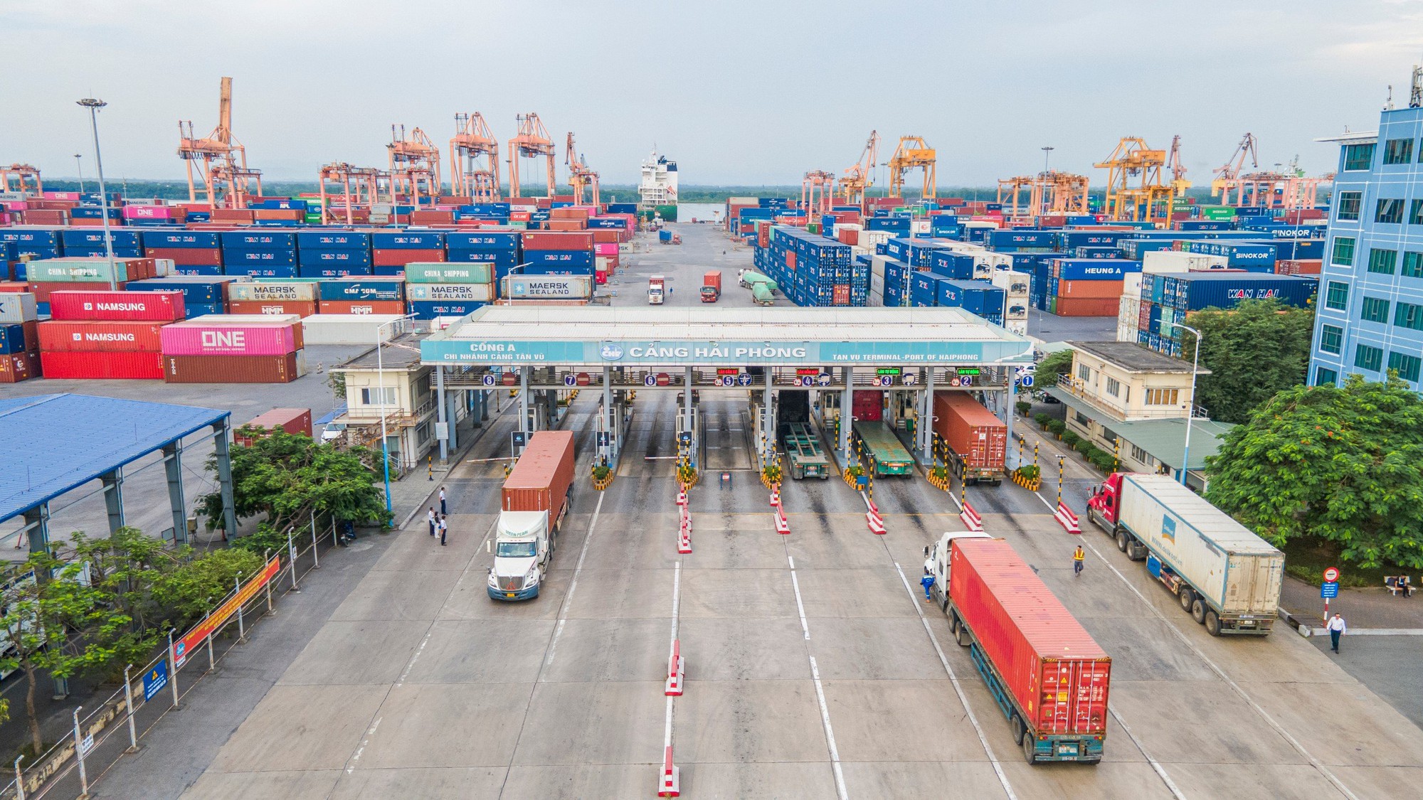 Tận thấy qu&aacute; tr&igrave;nh kiểm so&aacute;t xe qu&aacute; tải tại cảng biển - Ảnh 6.