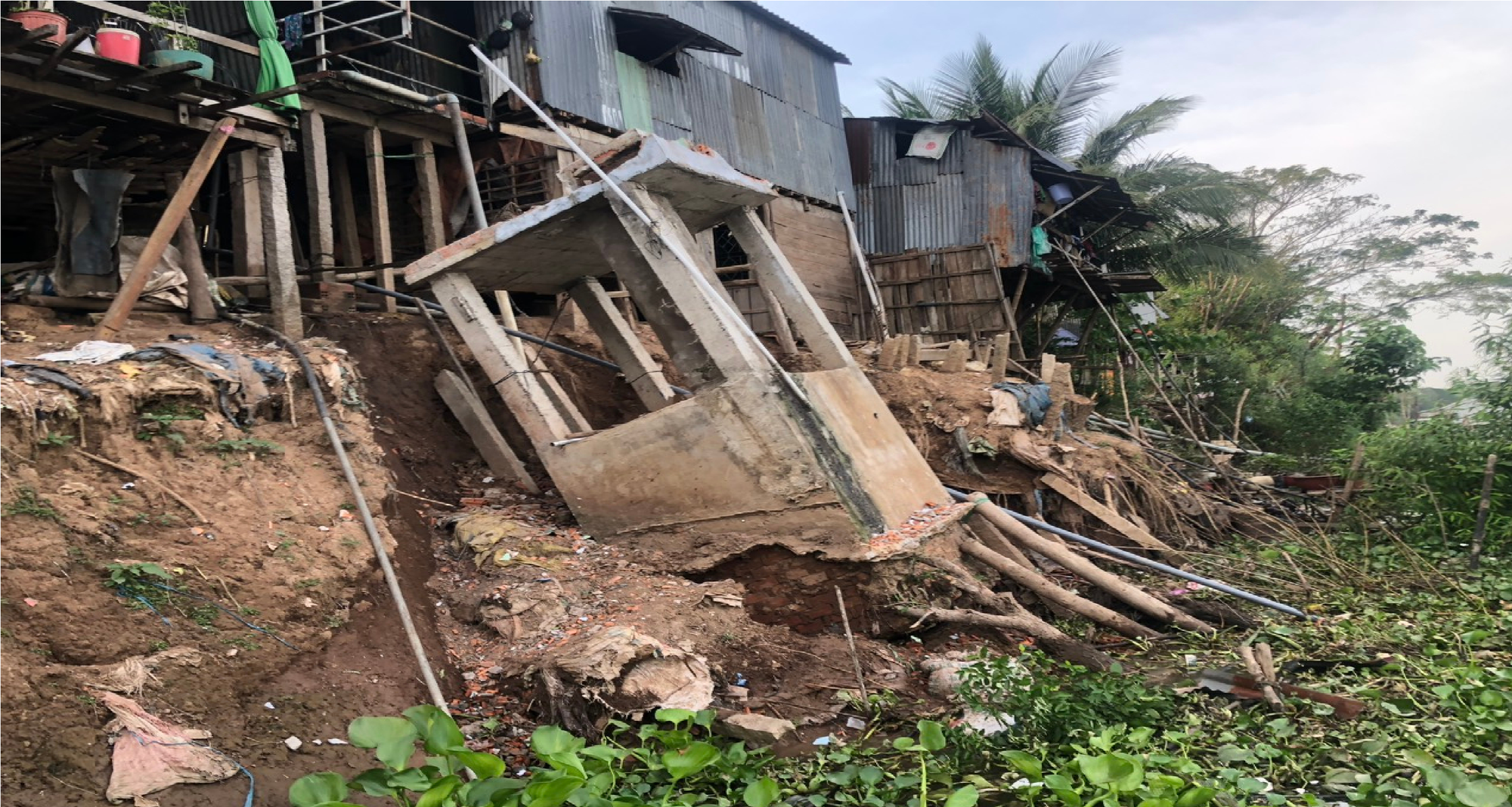 Cần lắm cho miền T&acirc;y l&uacute;c n&agrave;y - Ảnh 2.