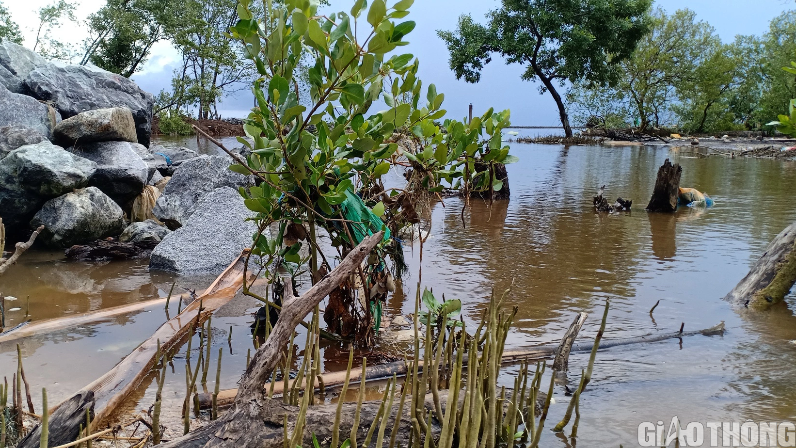 C&agrave; Mau đề xuất dự &aacute;n ph&aacute;t triển sinh kế bền vững hơn 41 triệu USD - Ảnh 1.