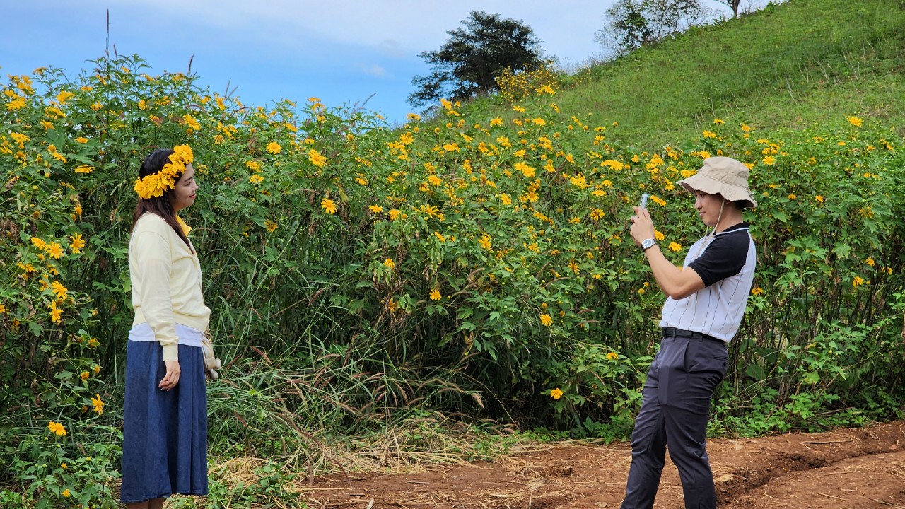 Ngất ng&acirc;y với triệu đ&oacute;a D&atilde; Quỳ tr&ecirc;n đỉnh Chư Đăng Ya - Ảnh 14.