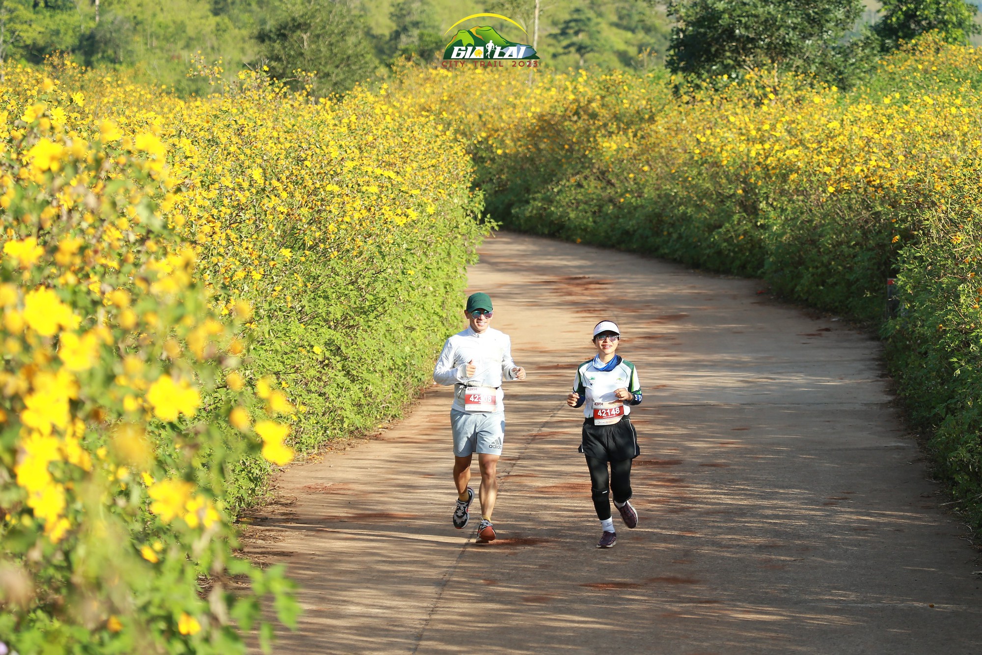 Hơn 4.000 runer tham gia giải chạy "Giấc mơ đại ng&agrave;n&rdquo; - Ảnh 1.