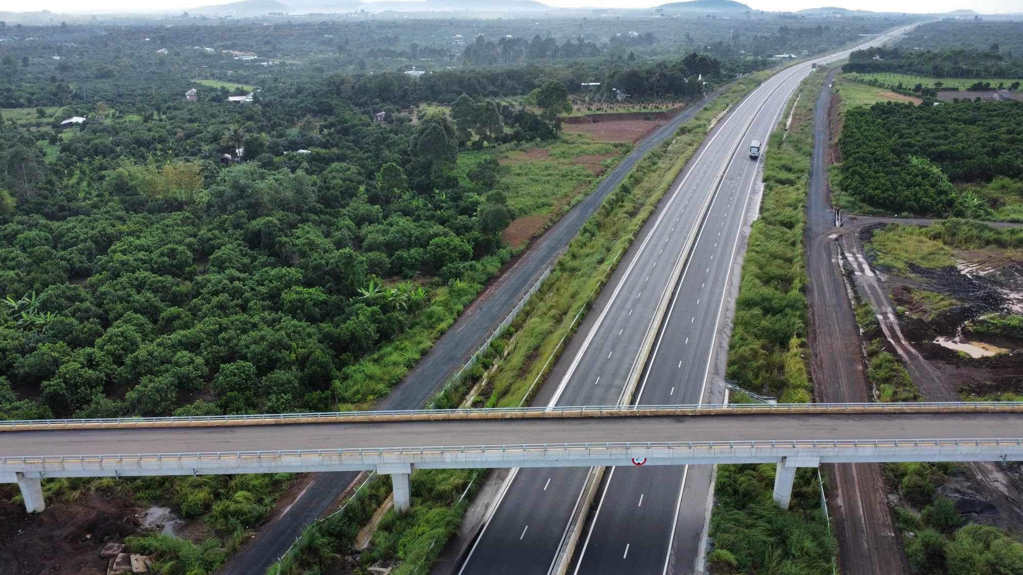 Cỏ dại mọc lấn v&agrave;o cao tốc Phan Thiết - Dầu Gi&acirc;y - Ảnh 1.