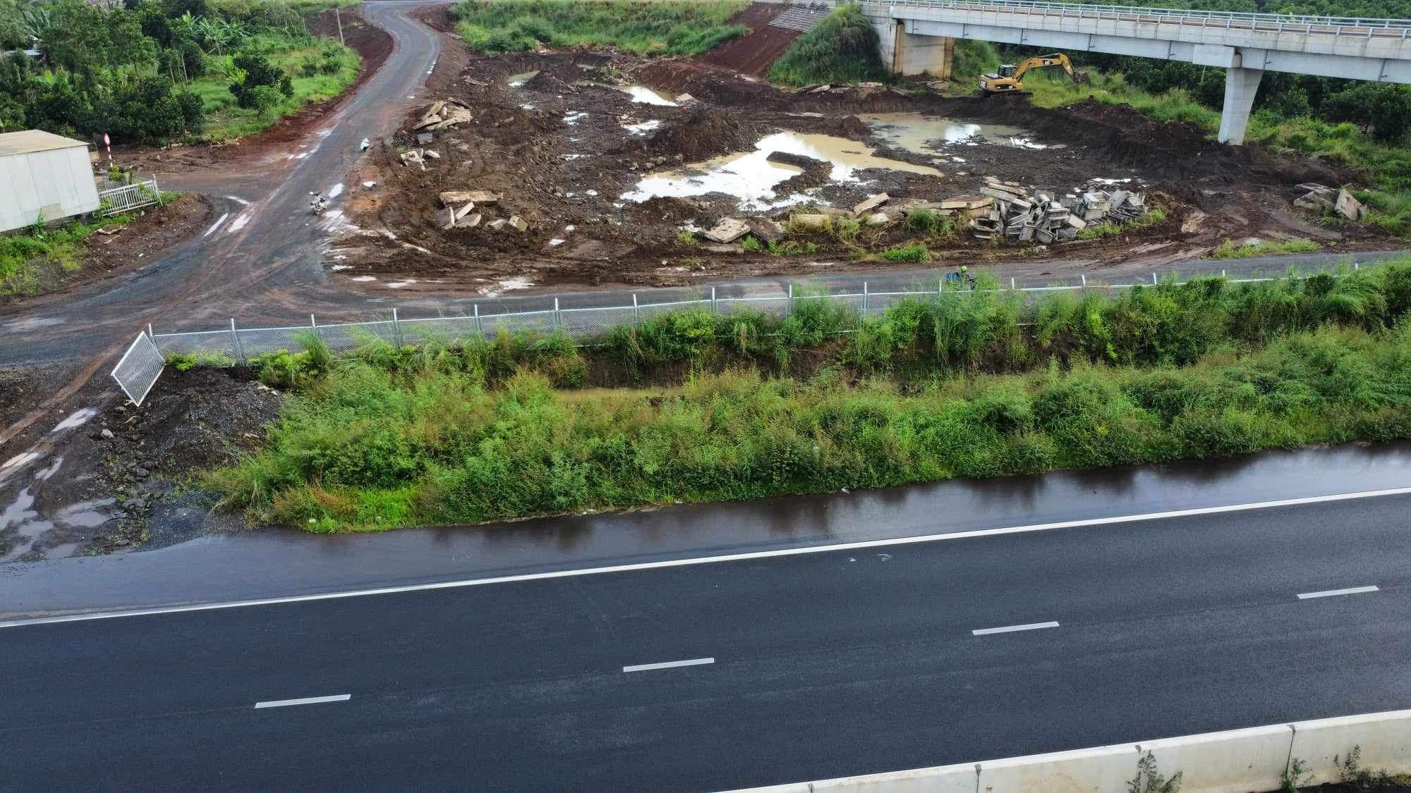 Cỏ dại mọc lấn v&agrave;o cao tốc Phan Thiết - Dầu Gi&acirc;y - Ảnh 3.