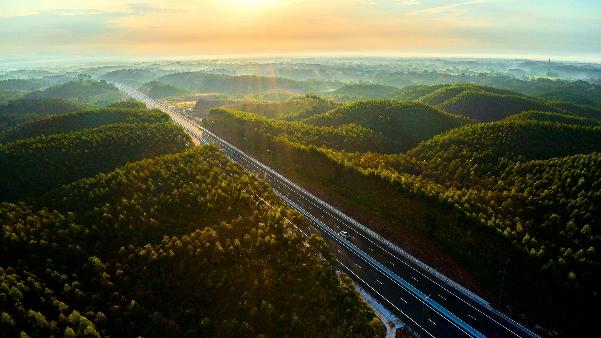 photo-1700537551697 photo-1700537551697