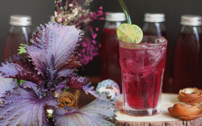 V&igrave; sao gỏi c&aacute;, b&uacute;n ốc lại n&ecirc;n ăn c&ugrave;ng l&aacute; t&iacute;a t&ocirc;? - Ảnh 2.