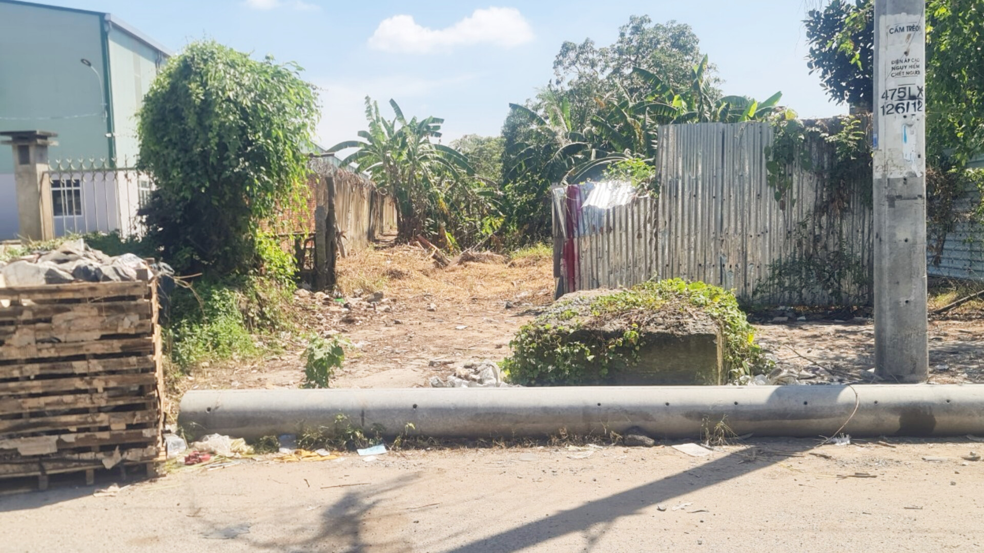 Đã tháo dở rào chắn đường ra đồng của người dân sau phản ánh của Báo Giao thông - Ảnh 1. Đã tháo dở rào chắn đường ra đồng của người dân sau phản ánh của Báo Giao thông - Ảnh 1.