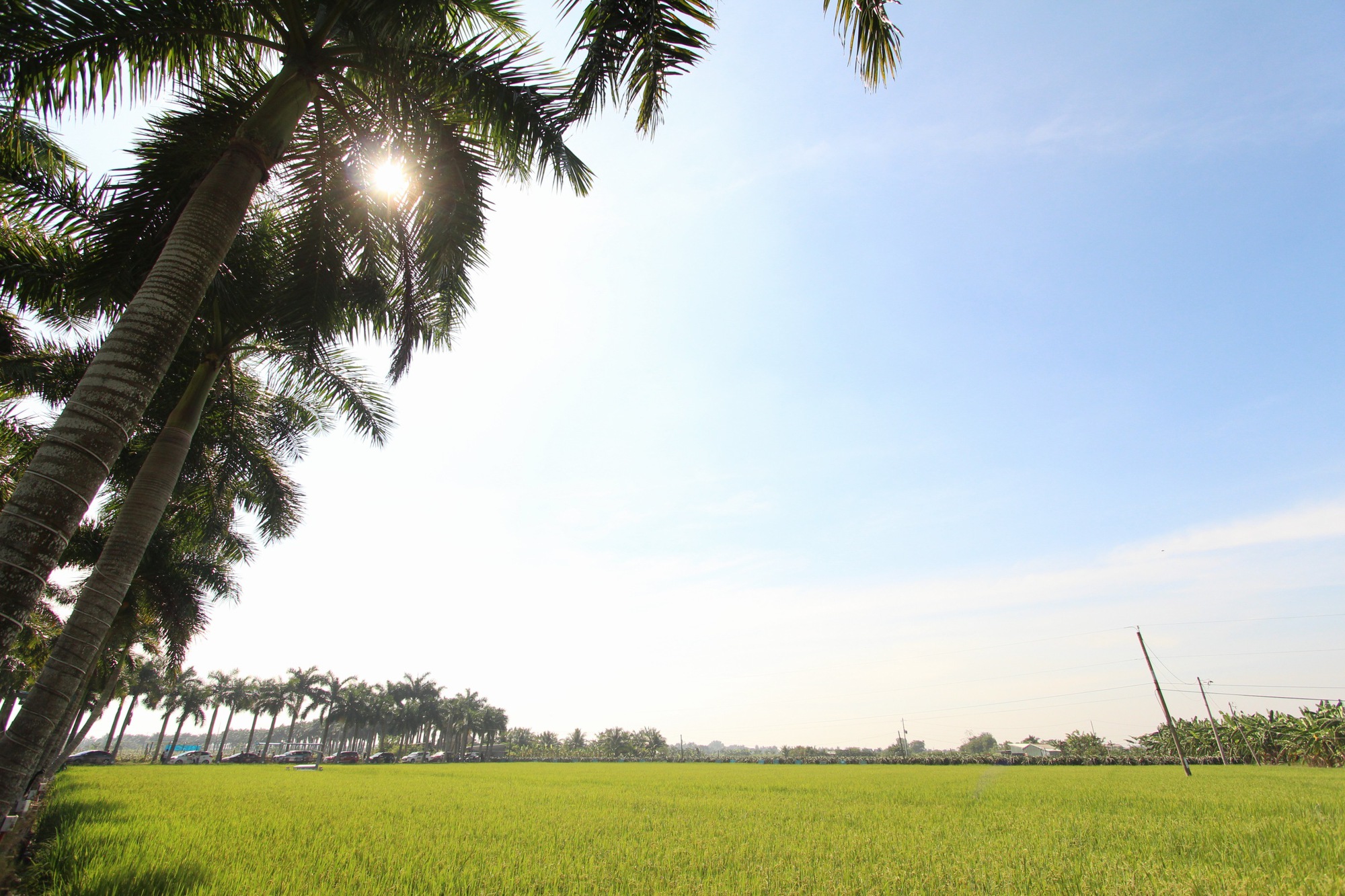 Long An: Quảng b&aacute; h&igrave;nh ảnh thu h&uacute;t kh&aacute;ch du lịch  - Ảnh 8.