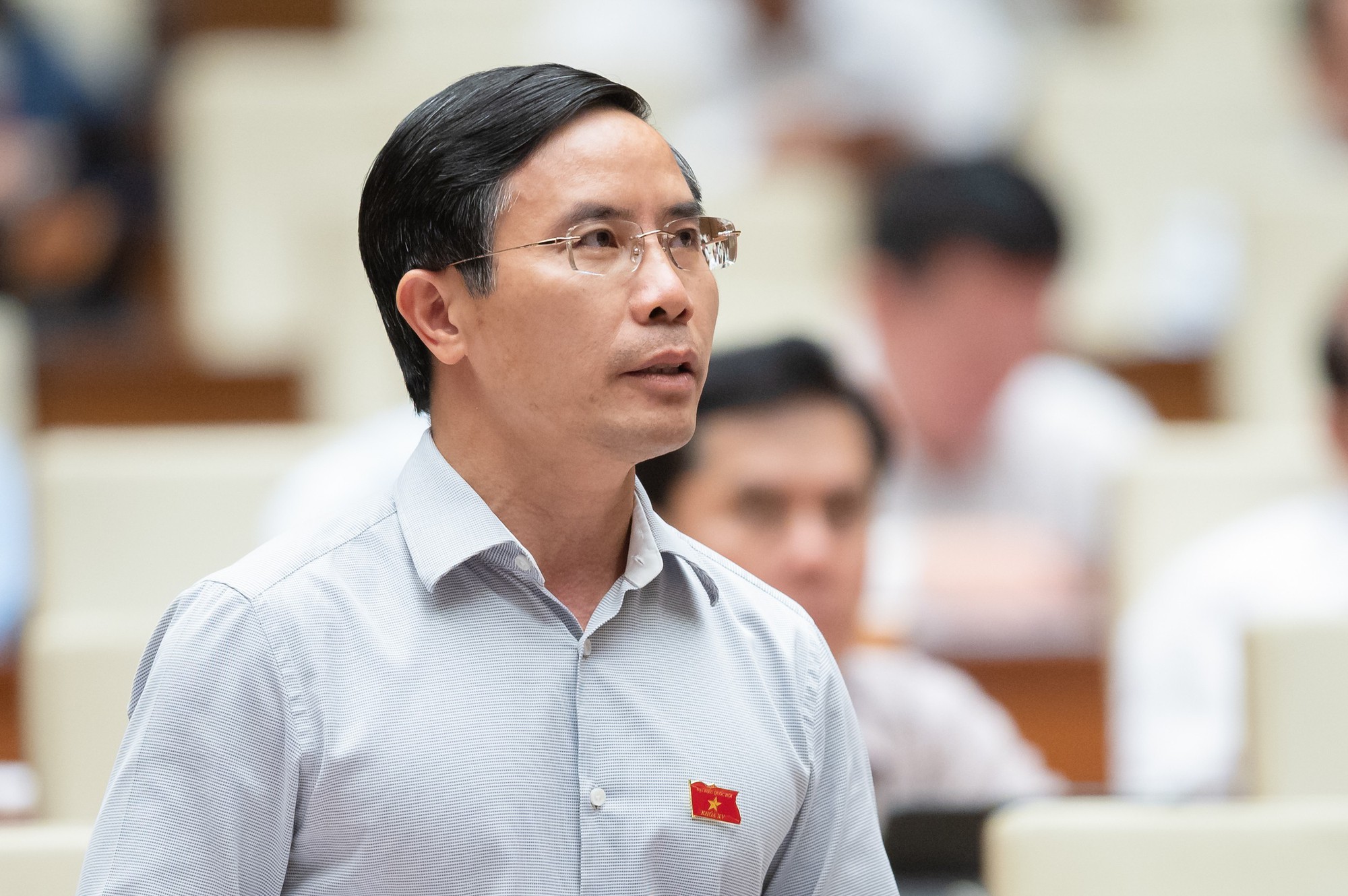 Đại biểu Quốc hội: Phải ngăn c&ograve; mồi, đe dọa cưỡng &eacute;p trong qu&aacute; tr&igrave;nh đấu gi&aacute; - Ảnh 2.