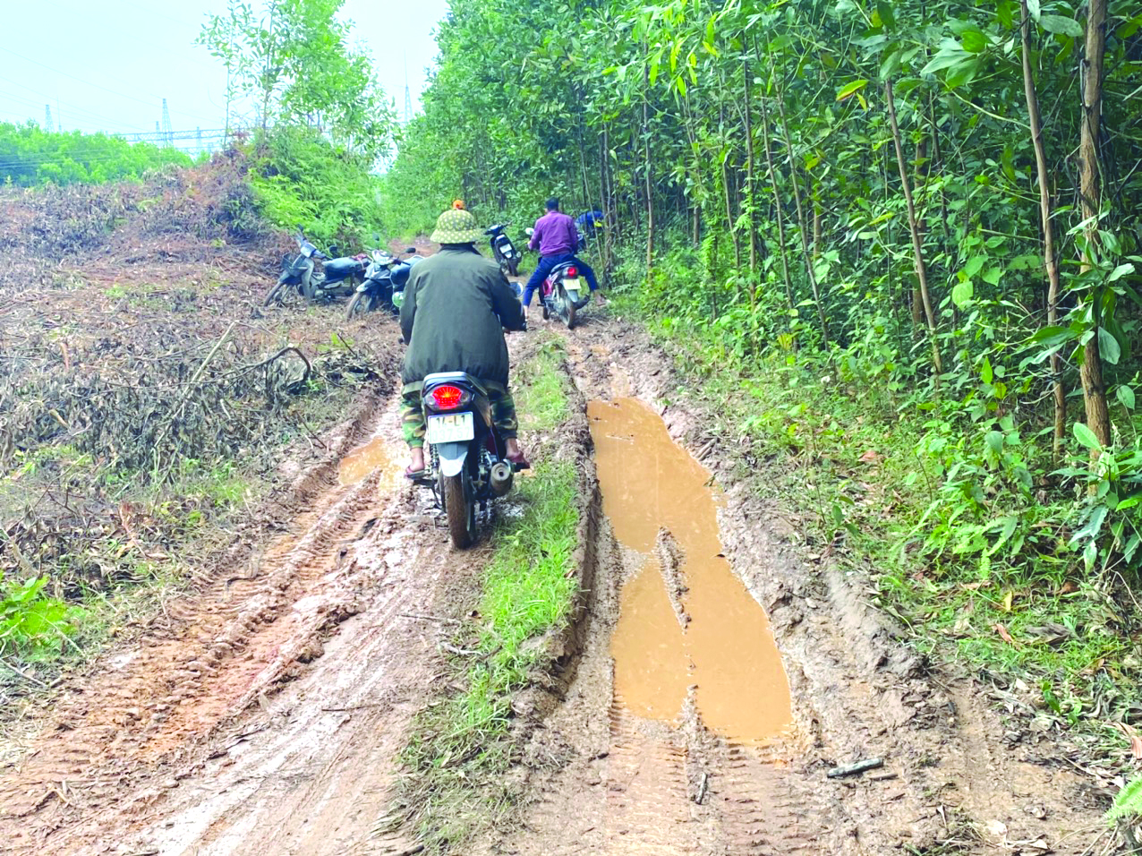 Quảng Ninh: D&acirc;n t&aacute; hỏa v&igrave; đất rừng sau 20 năm về tay chủ lạ - Ảnh 1.