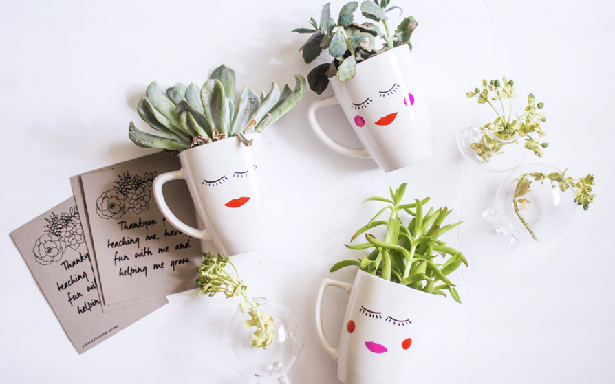 Người xưa dặn 'đừng tặng 3 loại c&acirc;y cảnh n&agrave;y kẻo biến bạn th&agrave;nh th&ugrave;', tại sao?