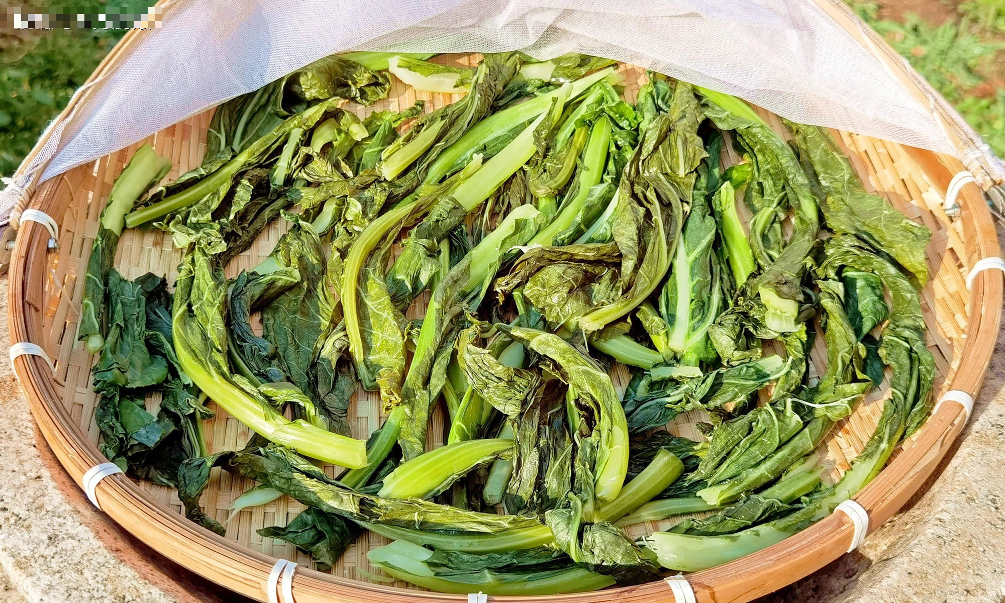 Loại rau chỉ ăn hoa, h&oacute;a ra l&aacute; l&agrave; "nh&agrave; v&ocirc; địch axit folic", sấy kh&ocirc; th&agrave;nh m&oacute;n m&ugrave;a đ&ocirc;ng cực phẩm - Ảnh 2.