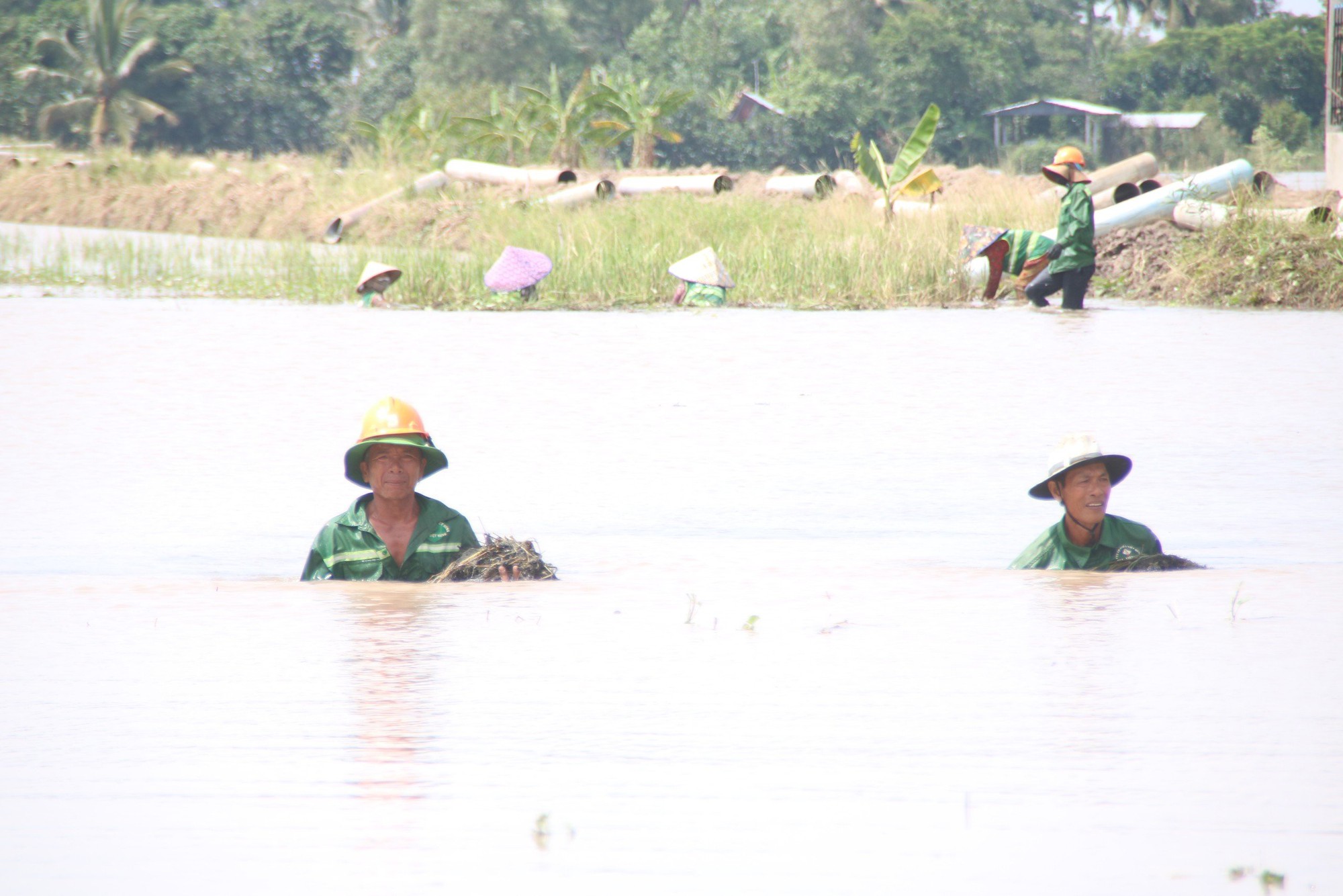 Cao tốc Cần Thơ- C&agrave; Mau: 3 tỉnh "mở cửa" cung cấp c&aacute;t, nhưng vẫn c&ograve;n nhiều nỗi lo - Ảnh 2.