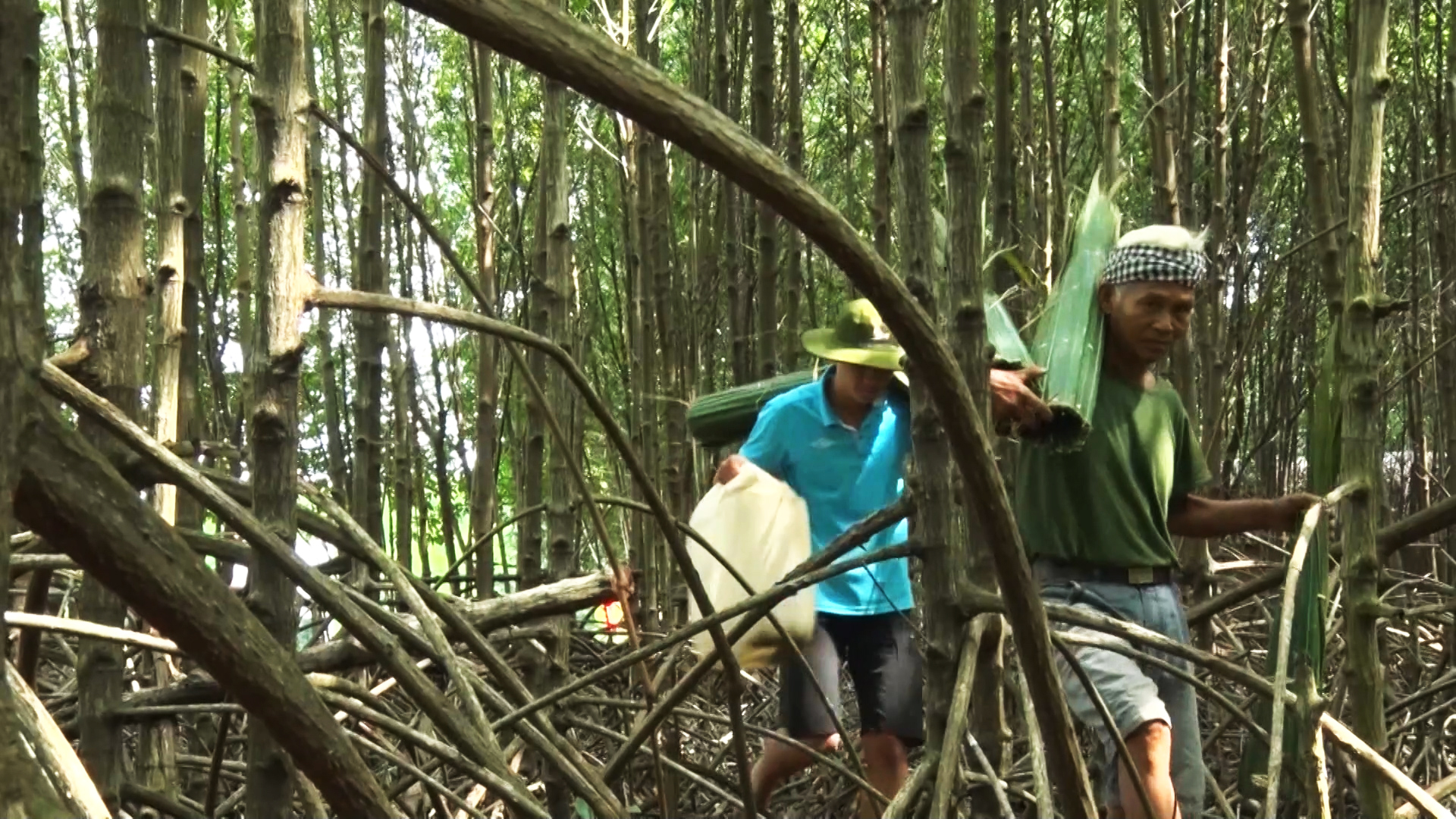 Lội bộ xuy&ecirc;n rừng săn lo&agrave;i c&aacute; &ldquo;kỳ lạ&rdquo; ở C&agrave; Mau - Ảnh 1.