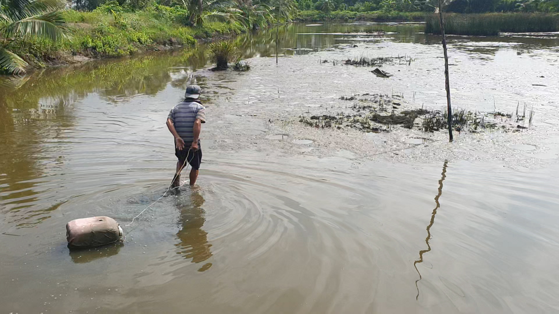 Người đ&agrave;n &ocirc;ng ở C&agrave; Mau c&oacute; biệt t&agrave;i bắt lịch bằng ch&acirc;n - Ảnh 4.