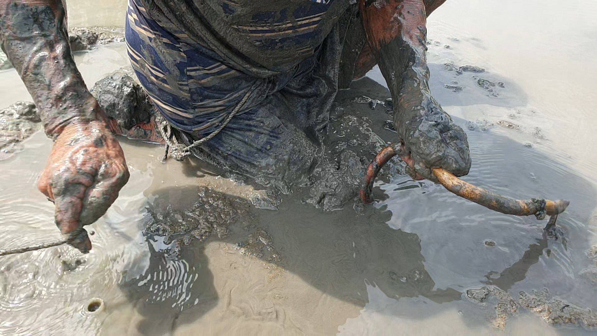 Người đ&agrave;n &ocirc;ng ở C&agrave; Mau c&oacute; biệt t&agrave;i bắt lịch bằng ch&acirc;n - Ảnh 8.