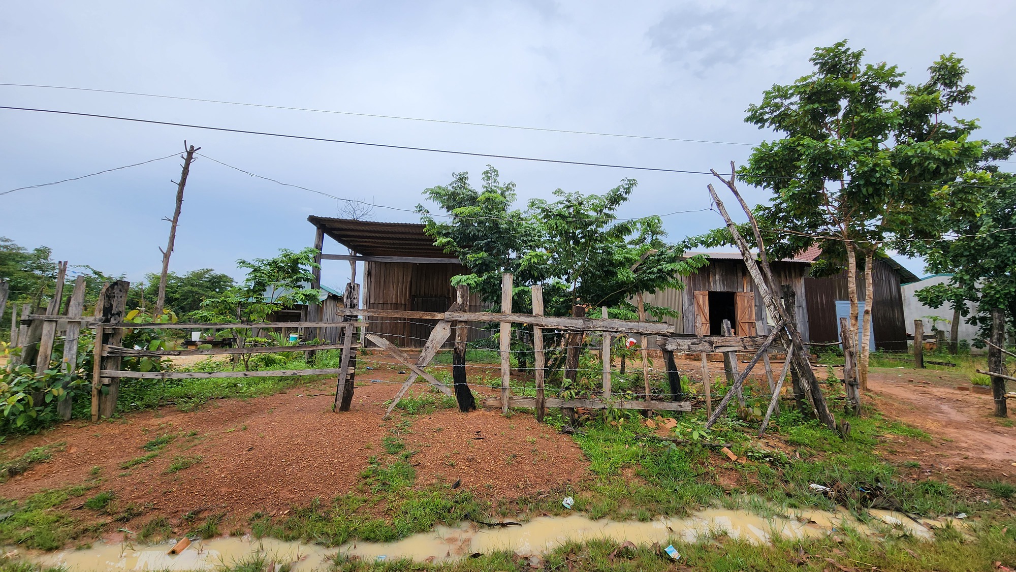 Huyện nói gì về bài viết “Vỡ mộng đổi đời ở mảnh đất nhiều không” ở Đắk Lắk - Ảnh 2. Huyện nói gì về bài viết “Vỡ mộng đổi đời ở mảnh đất nhiều không” ở Đắk Lắk - Ảnh 2.