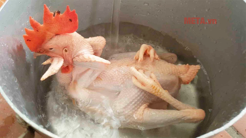 Luộc gà cánh tiên dũng mãnh, đẹp mắt siêu chuẩn ngày Tết không khó nếu biết điều này- Ảnh 5. Luộc gà cánh tiên dũng mãnh, đẹp mắt siêu chuẩn ngày Tết không khó nếu biết điều này- Ảnh 5.