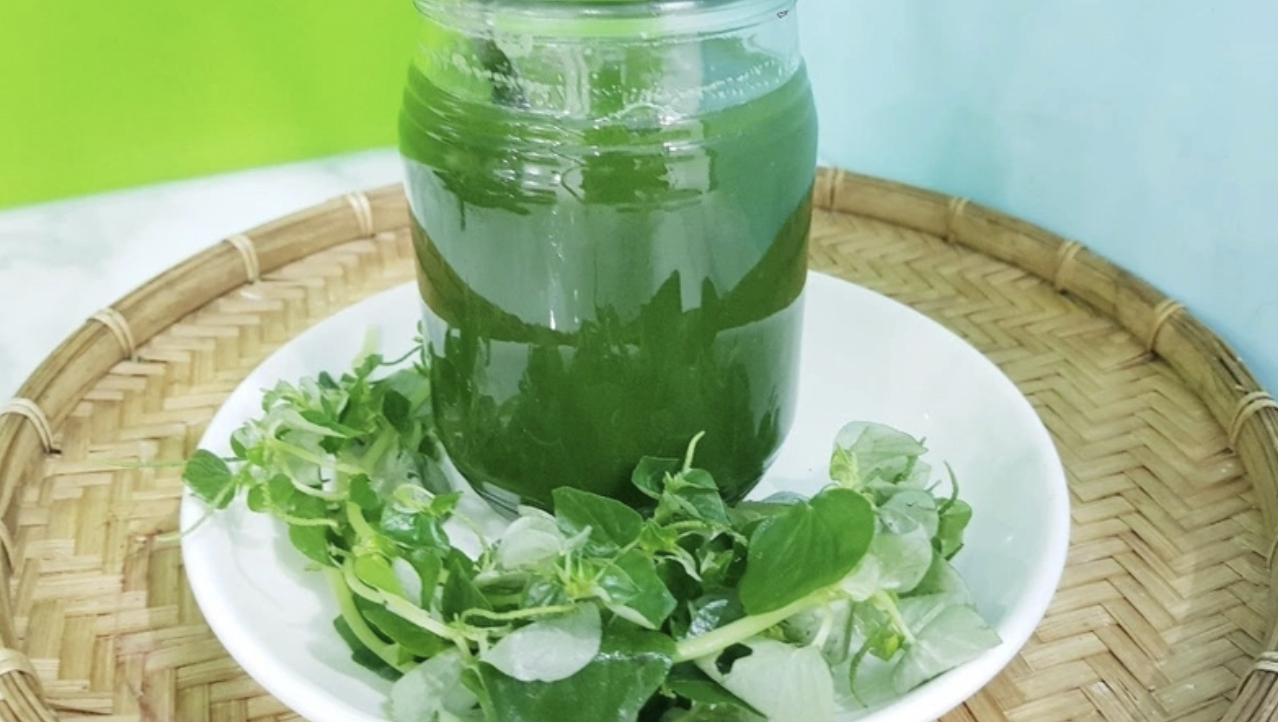 Loại rau mọc dại khe tường l&agrave; thuốc qu&yacute; chứa chất ngăn ngừa tế b&agrave;o ung thư  - Ảnh 5.