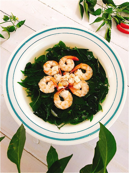 Loại rau tưởng bỏ đi lại c&oacute; h&agrave;m lượng canxi cao hơn sữa, nh&agrave; n&agrave;o cũng muốn trồng - Ảnh 3.