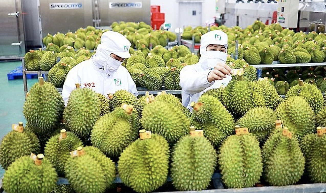 Việt Nam cần khai th&aacute;c cơ hội v&agrave;ng tại Trung Quốc, Mỹ, EU như thế n&agrave;o?  - Ảnh 6.