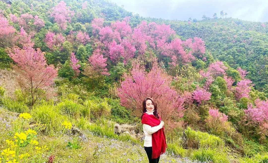 Y&ecirc;n B&aacute;i khai mạc Festival tr&igrave;nh diễn Kh&egrave;n M&ocirc;ng v&agrave; Lễ hội hoa Tớ D&agrave;y năm 2023 - Ảnh 4.