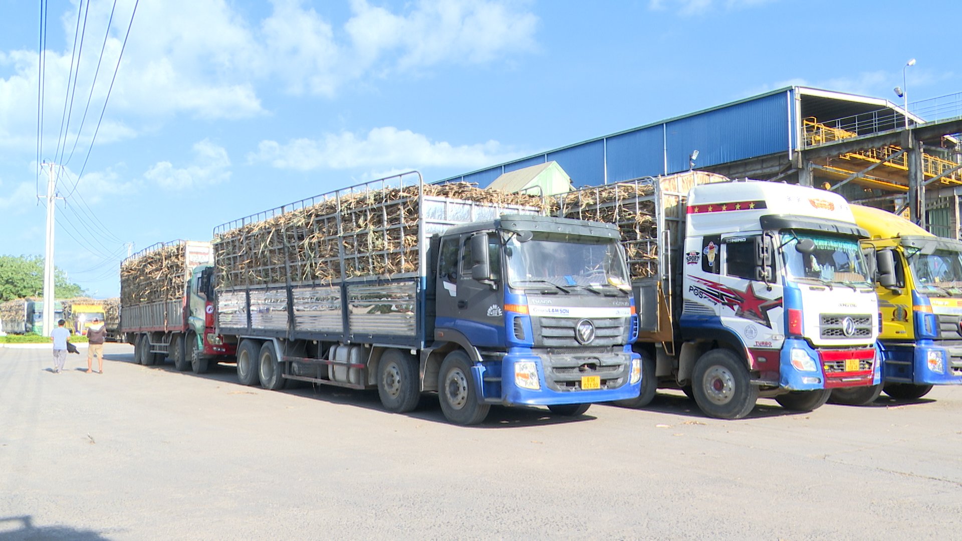 Gia Lai: Tăng cường kiểm so&aacute;t ngăn xe chở m&iacute;a qu&aacute; tải - Ảnh 1.