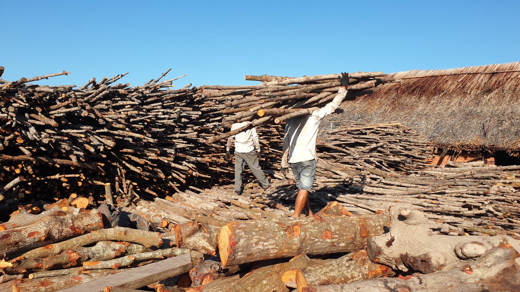 Nghề hầm than đước gi&uacute;p người d&acirc;n ở C&agrave; Mau c&oacute; th&ecirc;m thu nhập kh&aacute; - Ảnh 7.