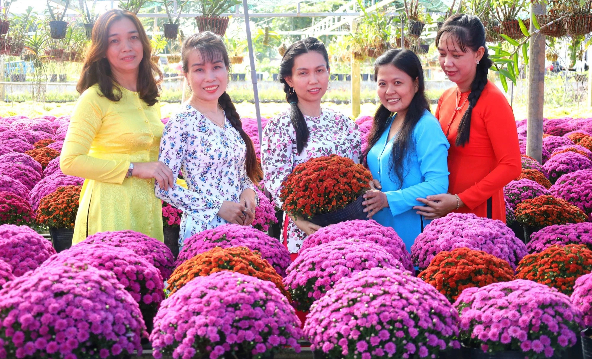 Về Đồng Th&aacute;p đi đ&acirc;u, l&agrave;m g&igrave; trong dịp Tết Dương lịch? - Ảnh 1.