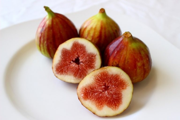 Loại quả mọc đầy bờ ao l&agrave;ng qu&ecirc; Việt, h&agrave;ng nhập khẩu gần 2 triệu một c&acirc;n - Ảnh 2.