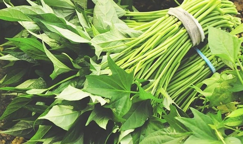 4 loại rau rẻ như cho "bổ hơn thịt" b&aacute;n đầy chợ nhưng &iacute;t người biết - Ảnh 3.