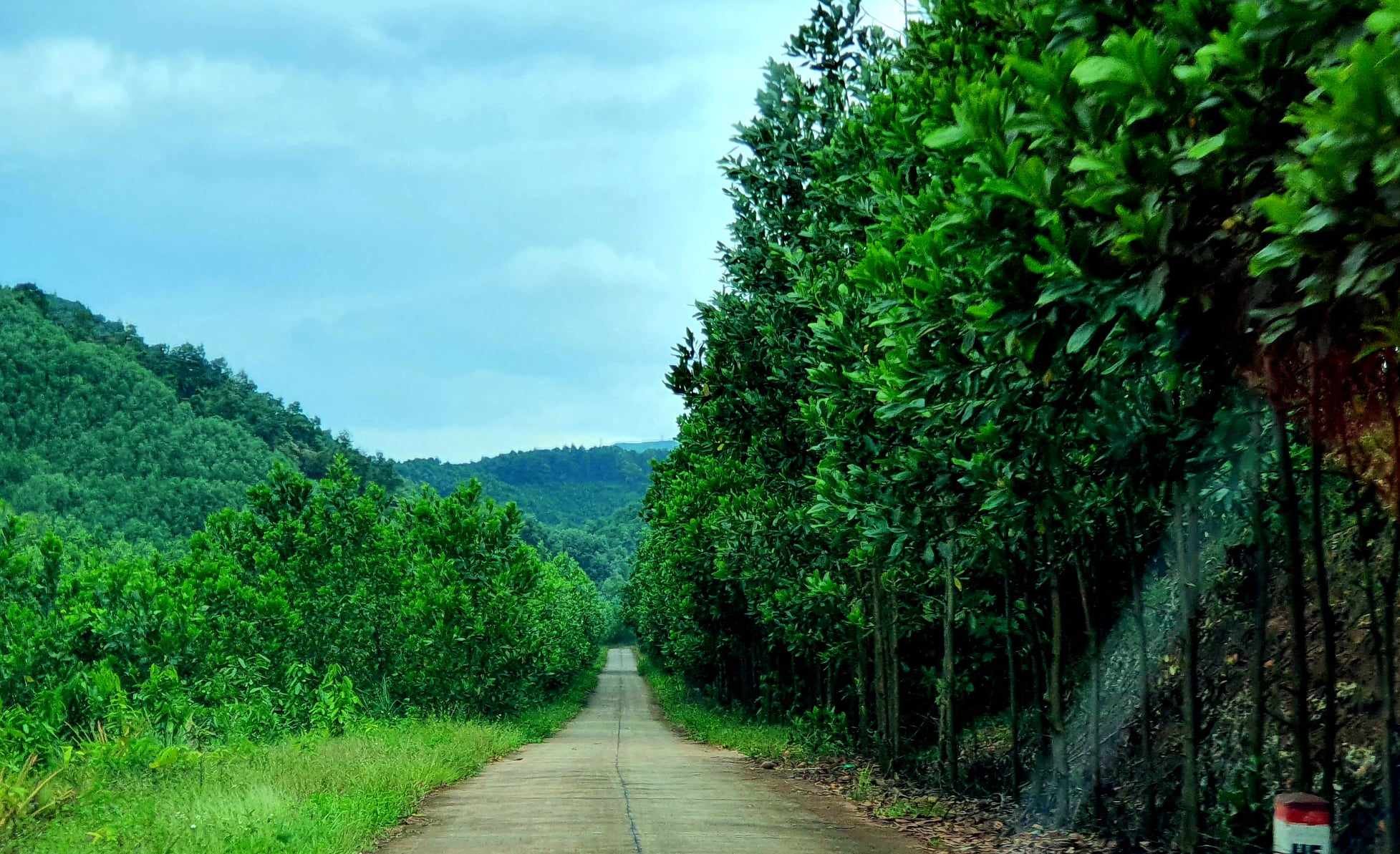 V&igrave; sao dự &aacute;n trăm tỷ ở Quảng Ninh vẫn "nằm im bất động" sau 5 năm t&igrave;m được nh&agrave; đầu tư? - Ảnh 2.