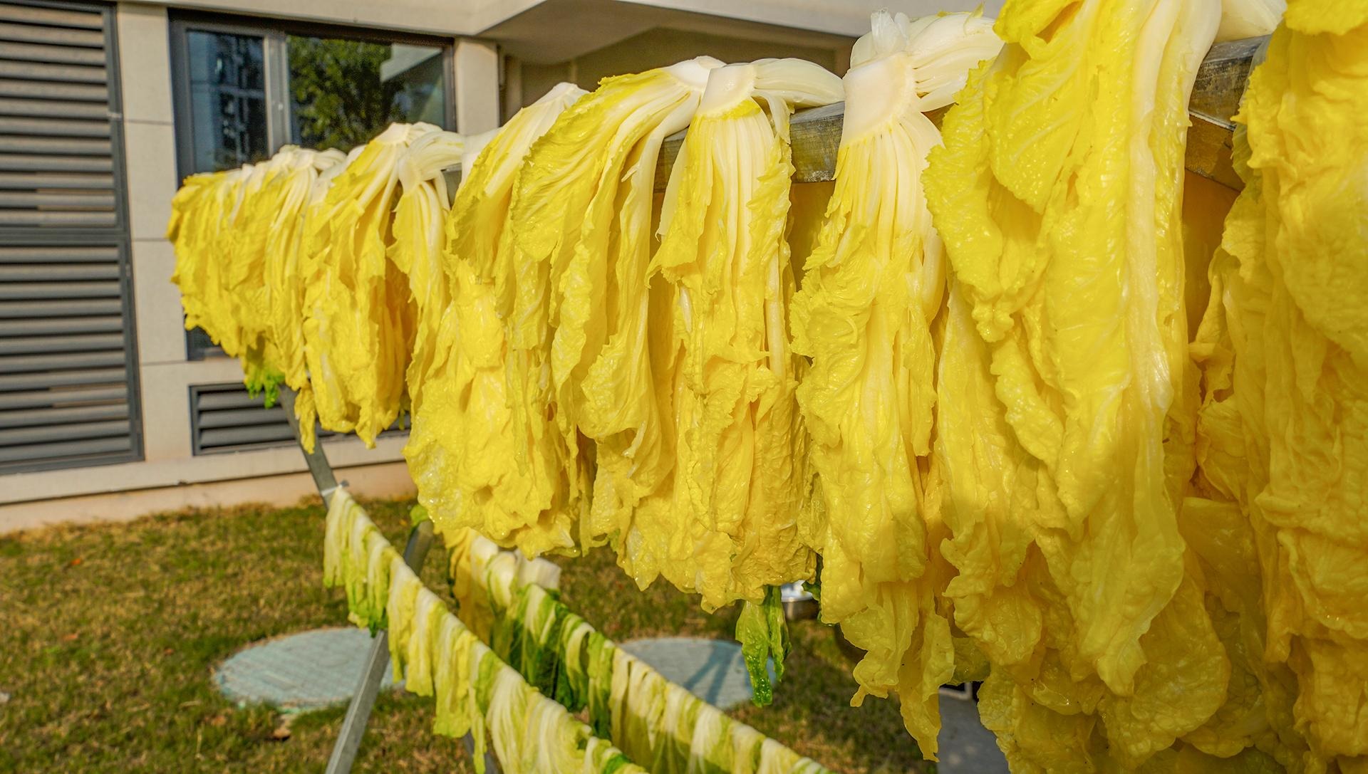  Loại rau cần ăn mạnh v&agrave;o m&ugrave;a đ&ocirc;ng, 1 nhuận tr&agrave;ng, 2 dưỡng da, 3 thải độc, phơi kh&ocirc; hầm si&ecirc;u thơm - Ảnh 8.