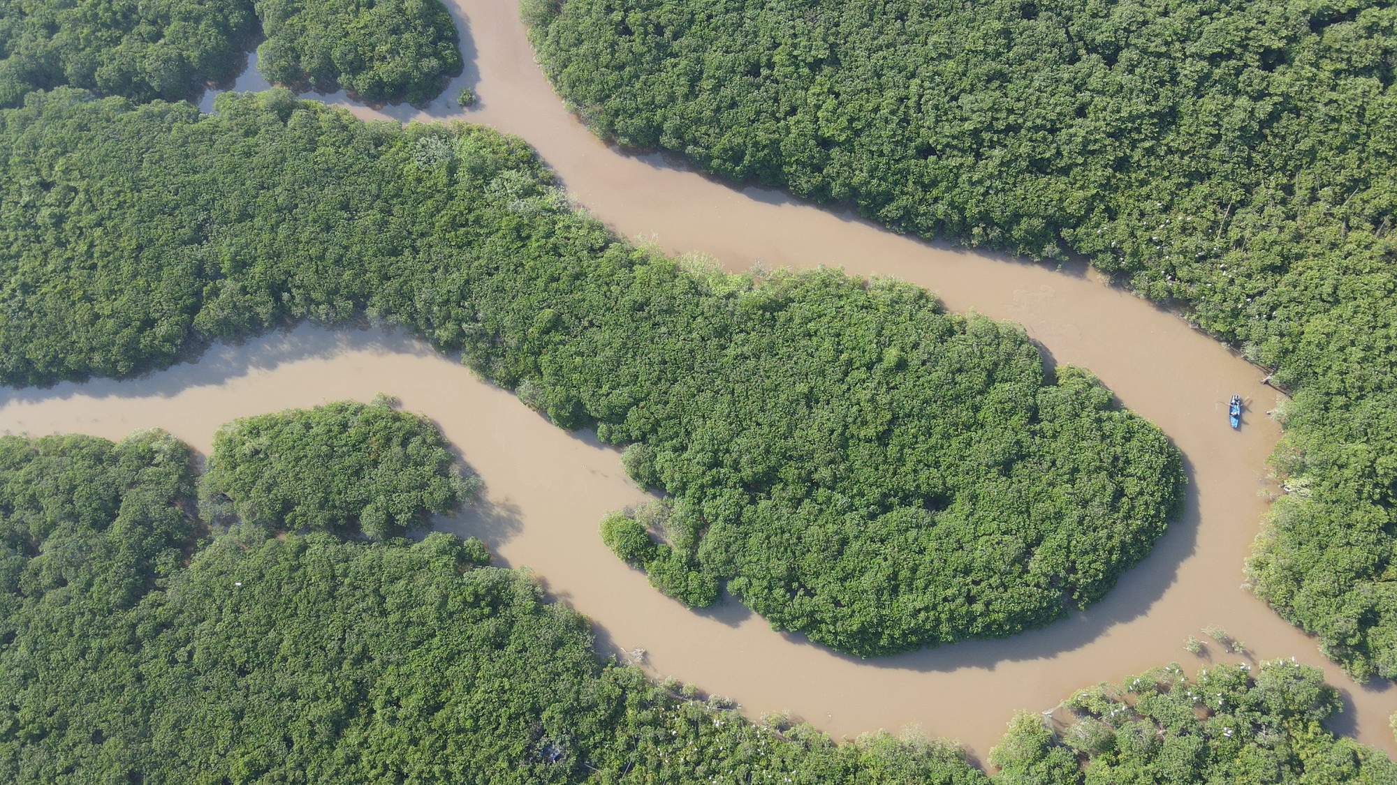 C&ocirc;ng an lục tung rừng bần rộng 8ha truy bắt 2 phạm nh&acirc;n bỏ trốn  - Ảnh 1.