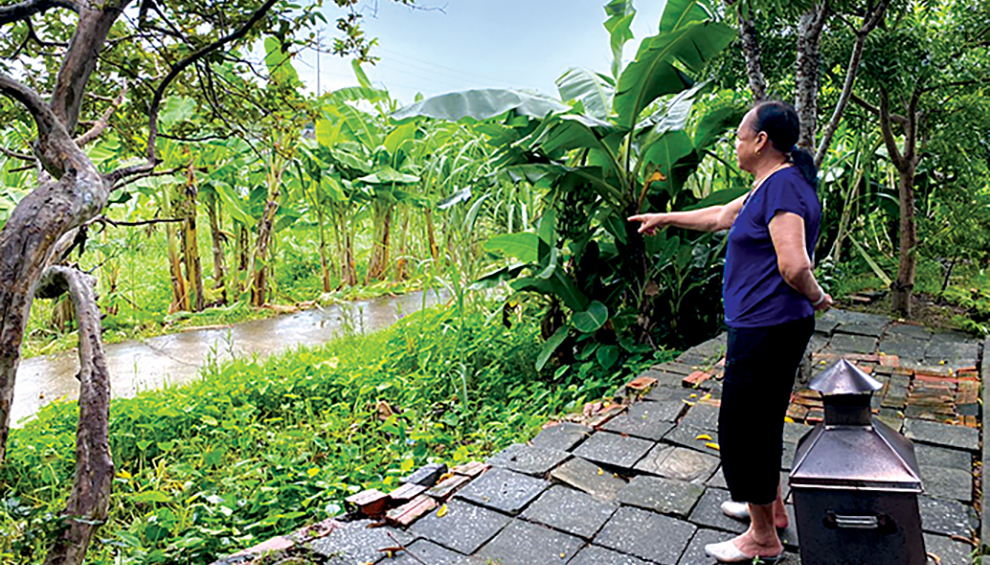 Cụ Trần Thị Trác chỉ về khu vực bãi muối – một trong những địa điểm Bác Hồ về thăm huyện Cô Tô đảo năm xưa Cụ Trần Thị Trác chỉ về khu vực bãi muối – một trong những địa điểm Bác Hồ về thăm huyện Cô Tô đảo năm xưa