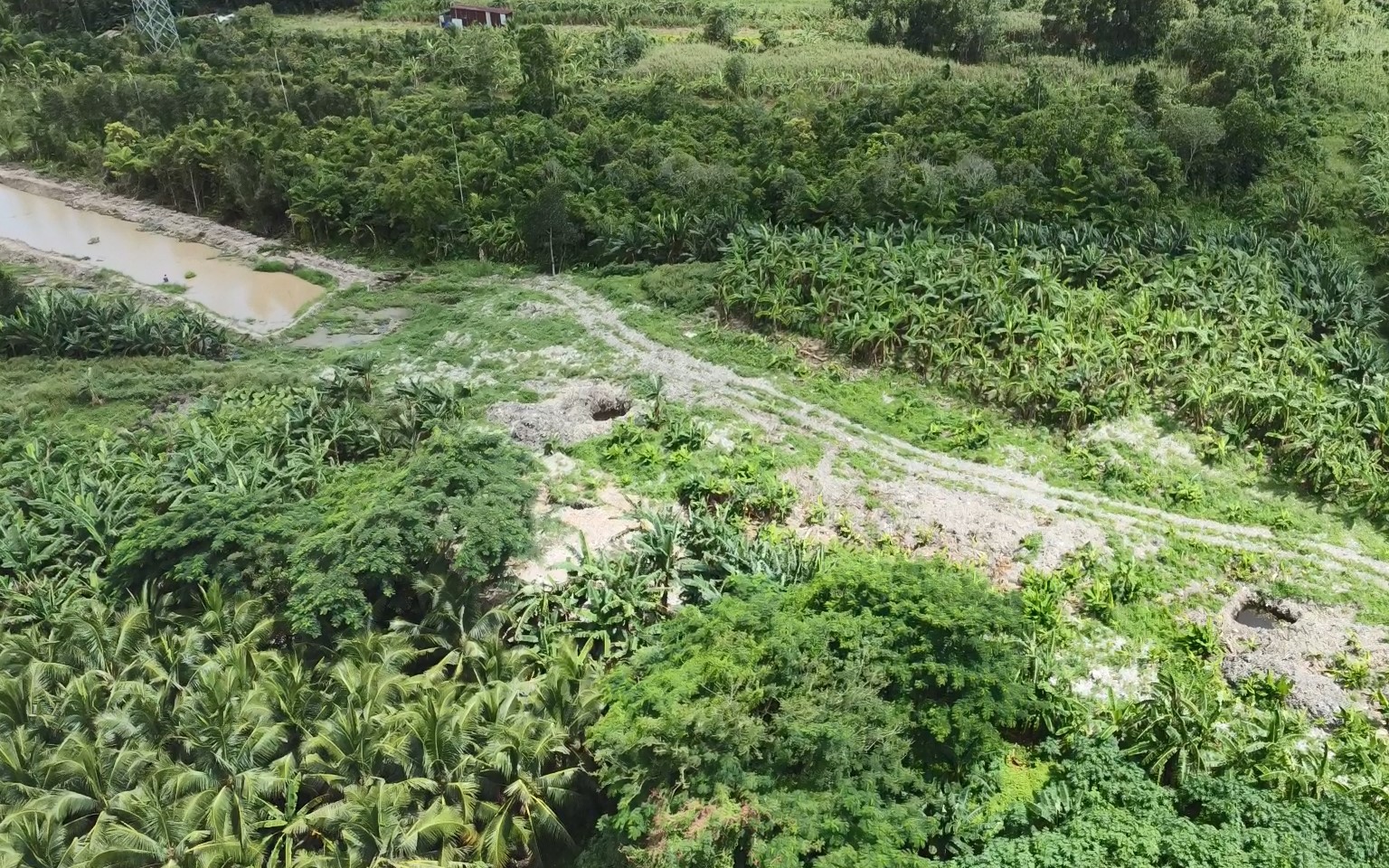 Kh&oacute; xử l&yacute; b&atilde;i r&aacute;c khổng lồ chắn dự &aacute;n cao tốc Cần Thơ - C&agrave; Mau