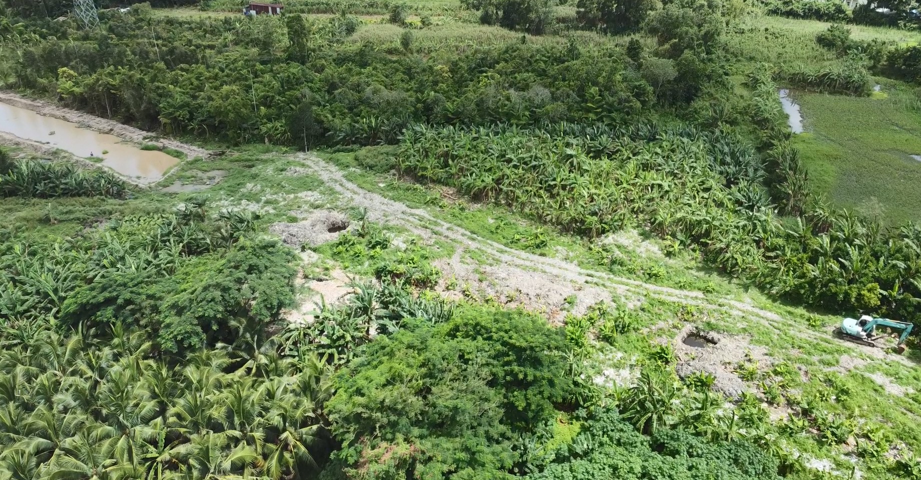 Xử l&yacute; b&atilde;i r&aacute;c lịch sử chắn cao tốc Cần Thơ &ndash; C&agrave; Mau - Ảnh 6.