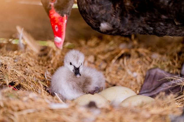 photo-1693588141115 photo-1693588141115